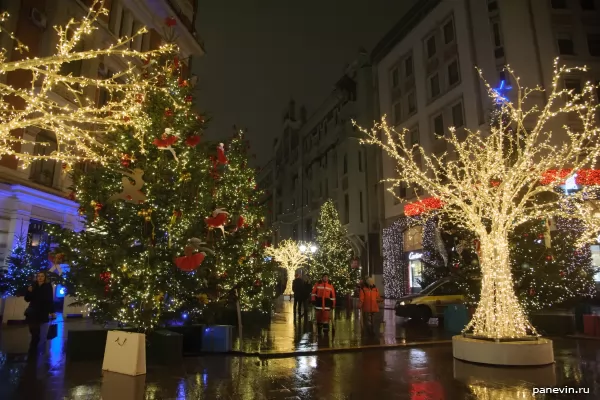 Golden trees and the decorated fur-trees