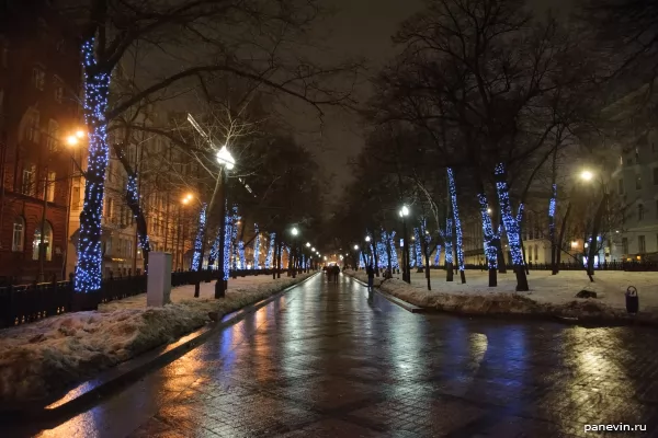 Avenue with light-emitting diodes