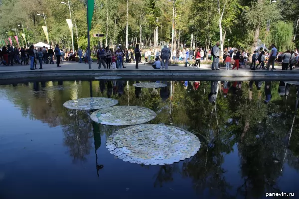 Water-lilies of compact discs