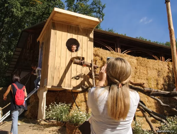 Huge wooden starling house