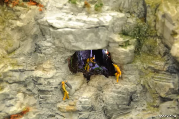 Спелеологи изучают пещеру