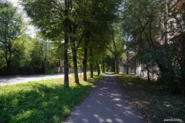 Novgorod street
