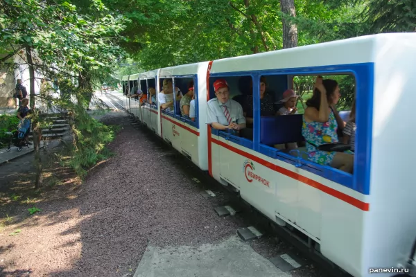 Train of the children's railway "Sibiryachok"