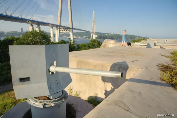 Cannons of the Novosiltsev battery