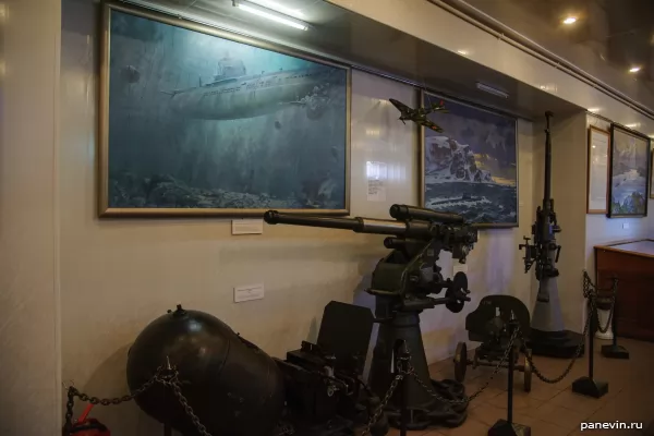 Artillery gun and anti-aircraft machine gun DShK