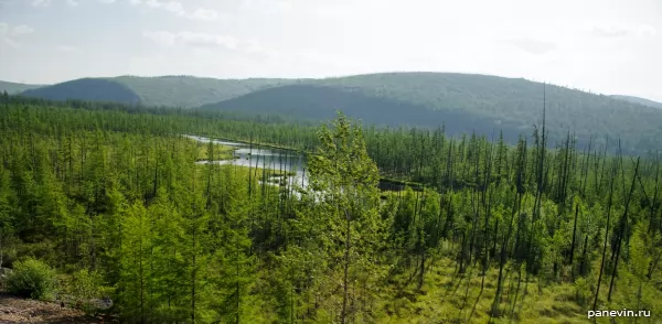 Swamps, river