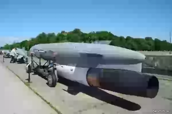 Крылатая противокорабельная ракета К-10С