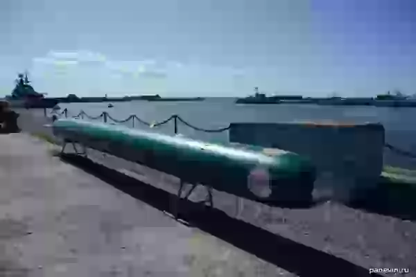 Телеуправляемая электрическая самонаводящаяся торпеда 65
