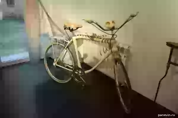 Велосипед а-ля скелет