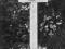 Могила Александра Блока на Гинтеровской дорожке Смоленского кладбища в Петрограде. 28 сентября 1944 года прах поэта был перезахоронен на Литераторских мостках Волкова кладбища