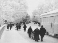 Зима 1941-1942 года в блокадном Ленинграде. Справа — остановленные трамваи.