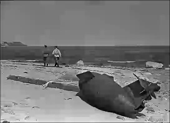 Побережье моря, послевоенный снимок