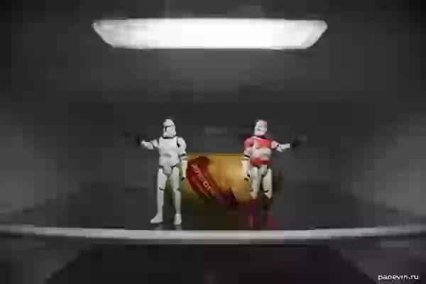 Stormtroopers protect doctorate draw - Star Wars