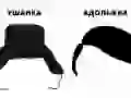 Cap with ear-flaps / Adolfka