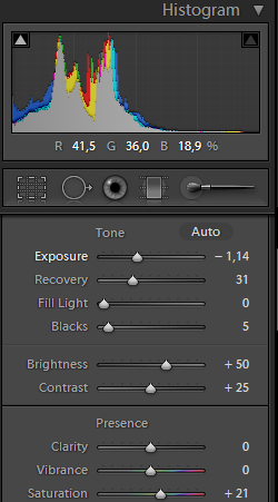 Lightroom: настройки Exposure и Recovery
