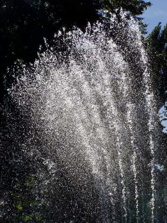 Fountain in the Ring