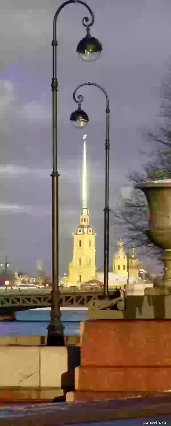 Petropavlovskaya fortress photo - Winter