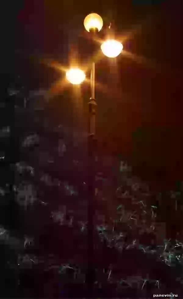 Lantern photo - Night city