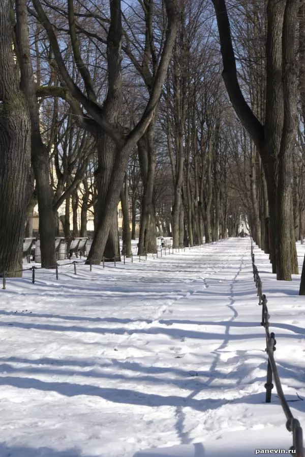 Alexandrovsky Park in winter