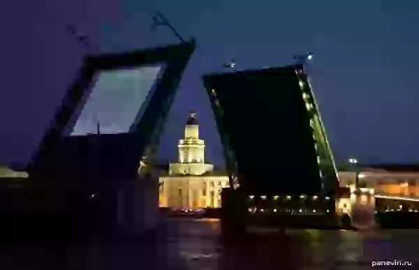 Дворцовый мост и Кунсткамера фото - Маленькое кино в большом городе