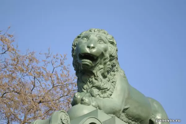 Muzzle of a lion photo - Details
