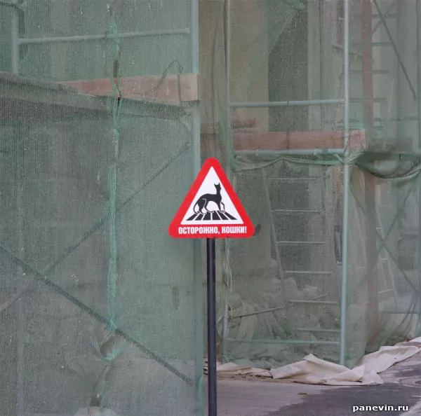 Beware of cats! photo - Unsorted