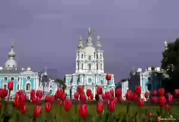 Smolny cathedral photo - Churches and cathedrals