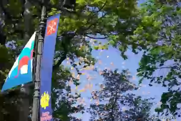 Воздушные шары фото - День города