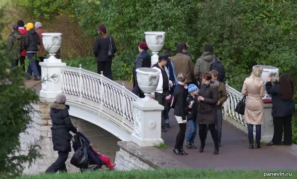 Bridge in the park