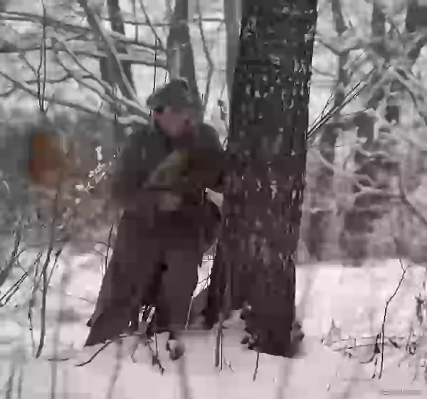 Начало боя. Боец красных прячется за деревом фото - Наступление Юденича на Петроград