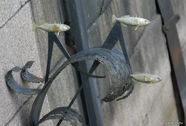 Рыбки фото - Кронштадт