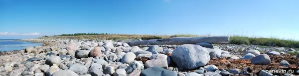 Coast of the White sea