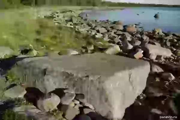 Trunk-call stone and coast of the White sea photo - Solovetsky Islands