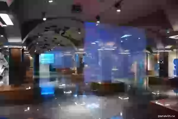 Светящиеся экраны в Музее Воды фото - Музеи в Санкт-Петербурге (СПб)