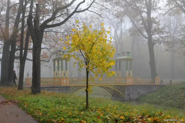 Chinese bridge