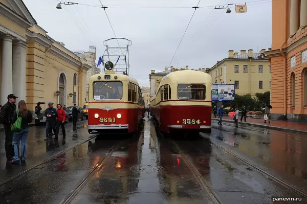 Слоны