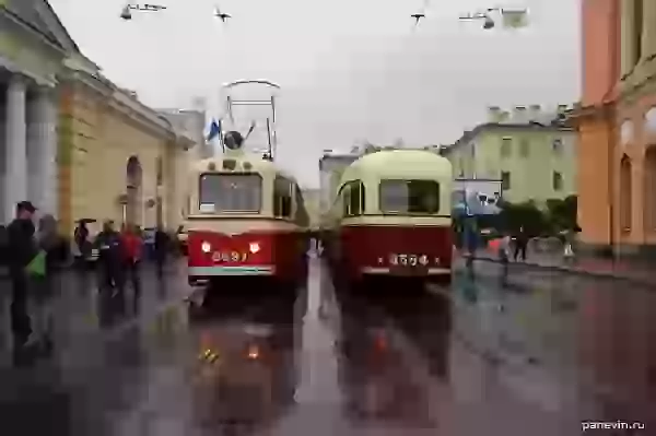 Слоны фото - 105 лет петербургскому трамваю