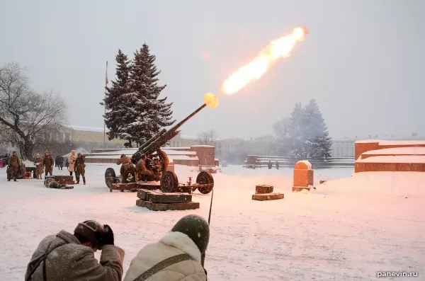 Anti-aircraft gun shot