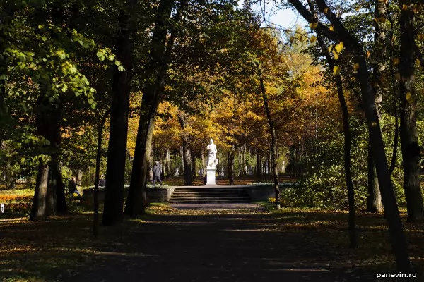 Avenue in Pavlovsk park