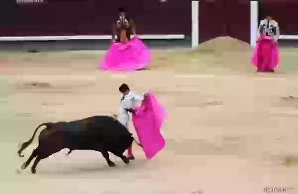 Bull, a matador and assistants photo - Bullfight (corrida)