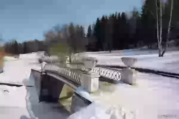 Pig-iron bridge through the Slavyanka-river photo - Pavlovsk