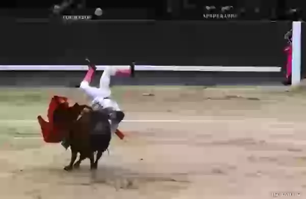Episode 2 photo - Bullfight (corrida)