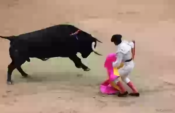Raincoat Test photo - Bullfight (corrida)