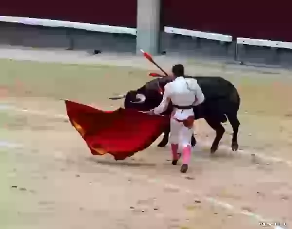 Bullfight, the third third photo - Bullfight (corrida)