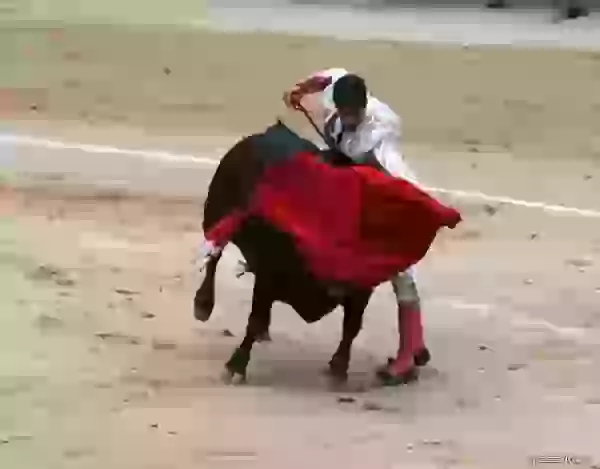 Bullfight, the third stage photo - Bullfight (corrida)