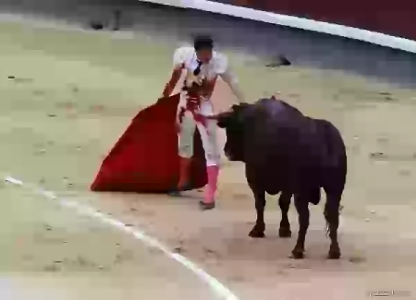 Respite photo - Bullfight (corrida)