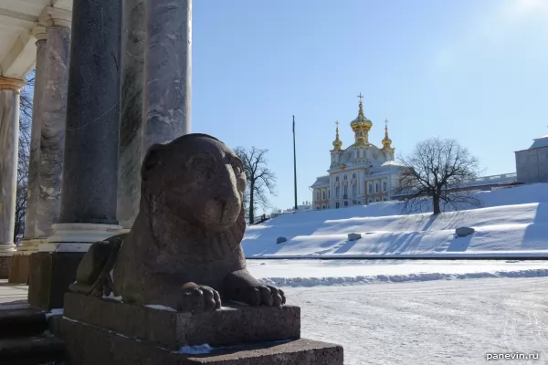 Один из петергофских львов