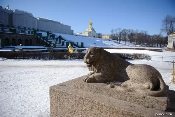 Петергофские львы