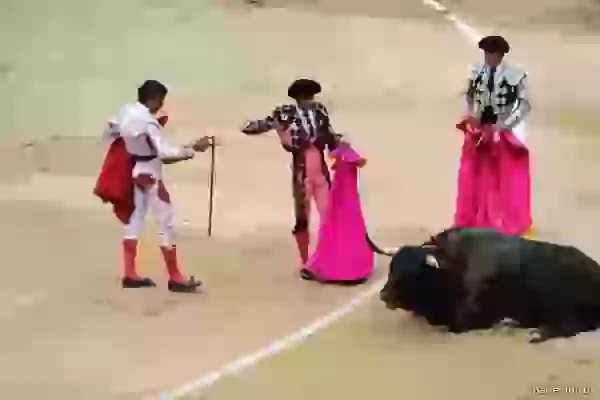 Assistant gives a sword torero photo - Bullfight (corrida)