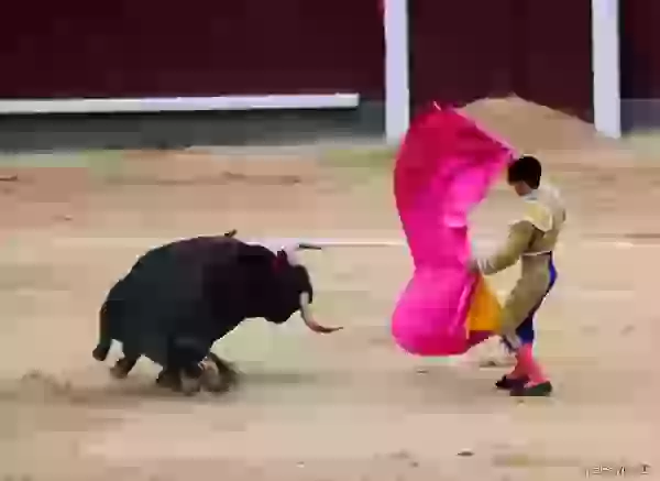Assistant of the torero photo - Bullfight (corrida)